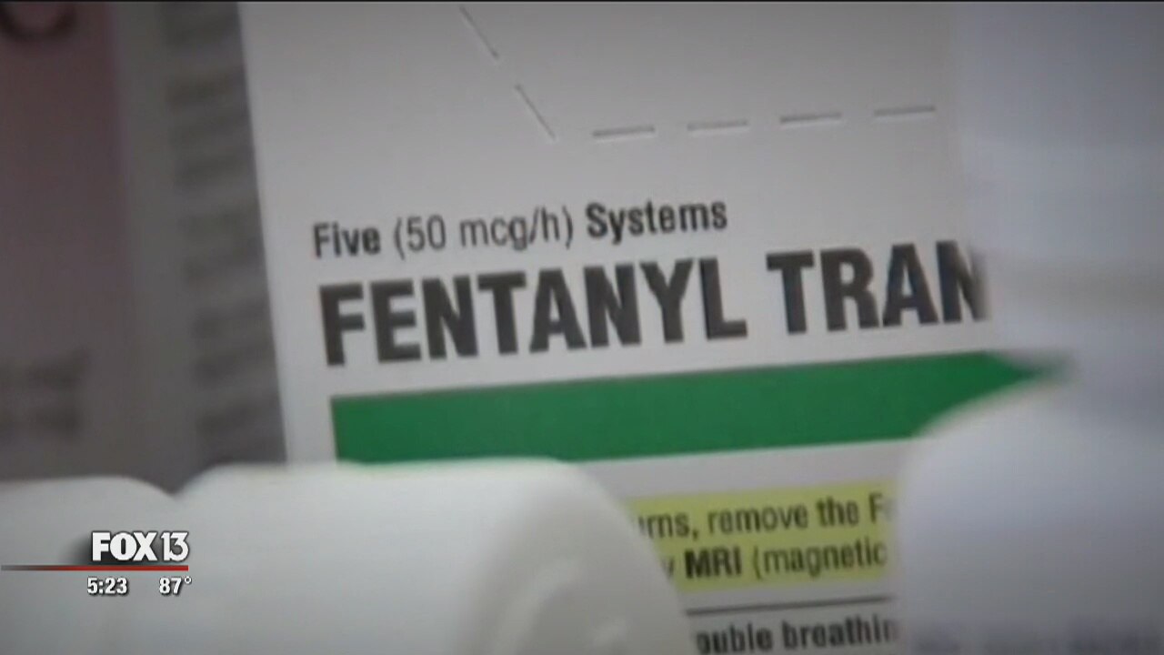 Doctors present opioid alternatives