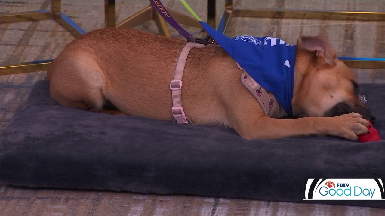 FOX 9 Good Day: June 24, 2026