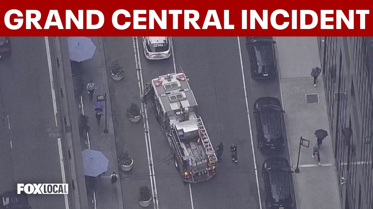 Police take person into custody after train incident at NYC's Grand Central Terminal