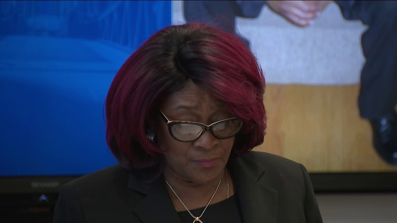 Family of man stabbed to death on the CTA files civil lawsuit.