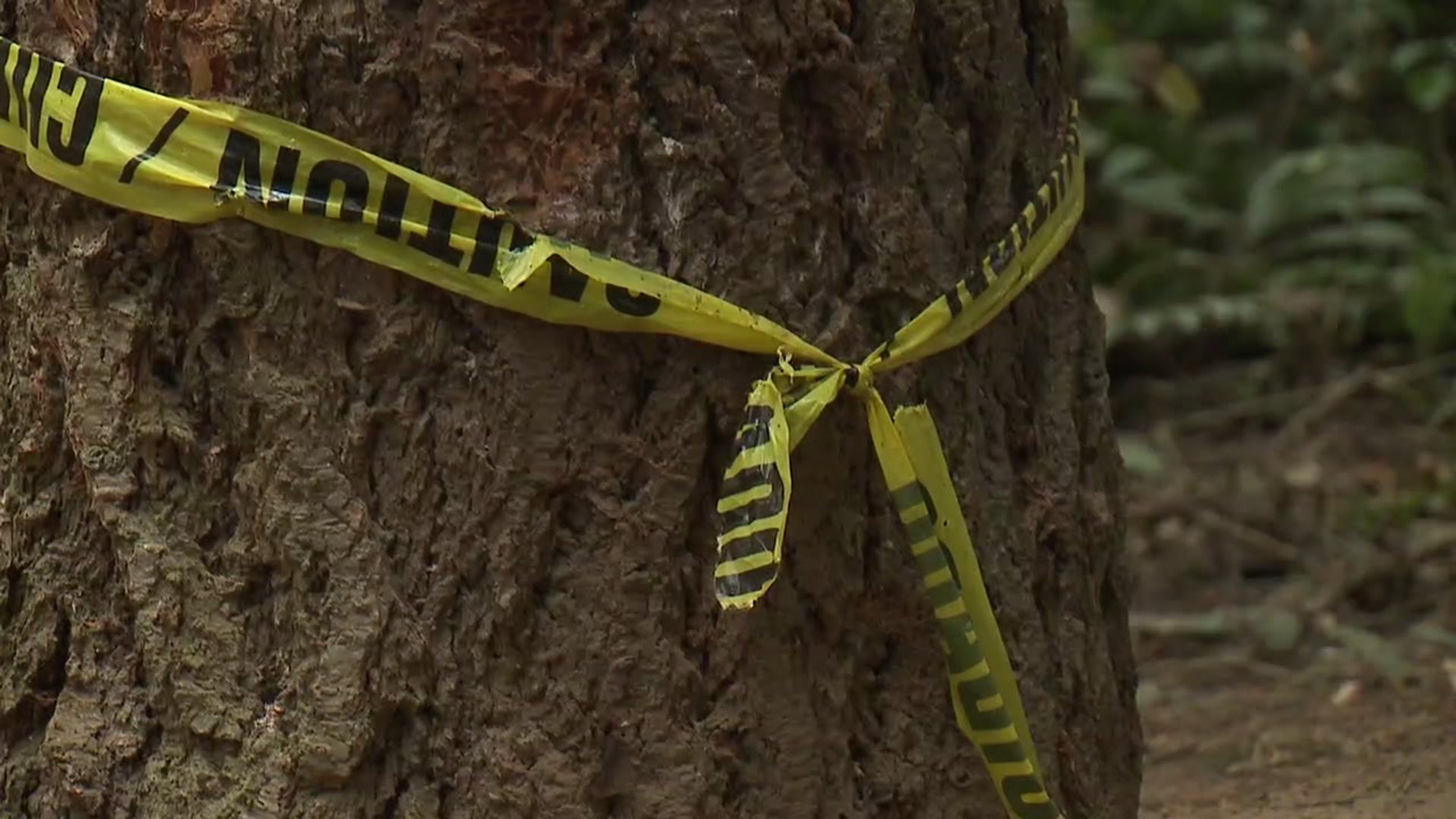 Teen dies after fist fight