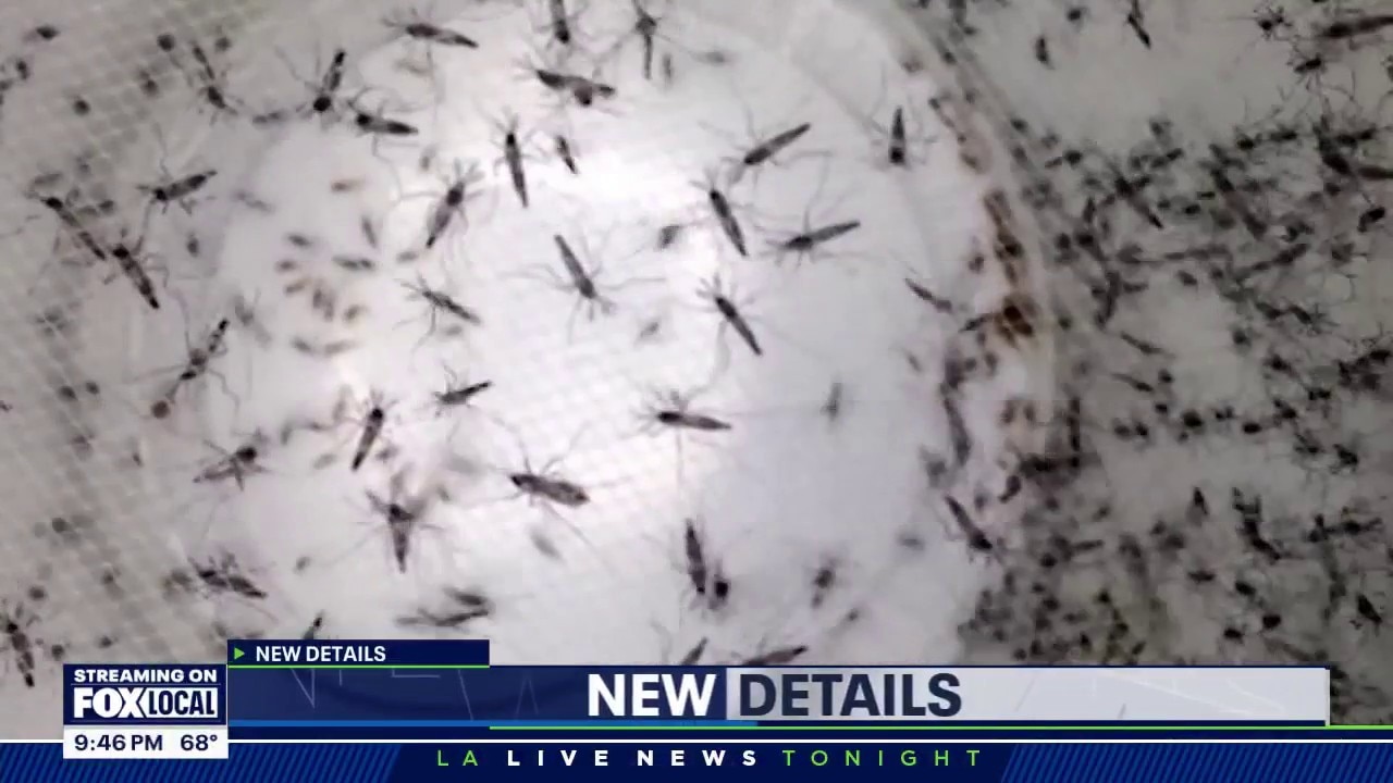 West Nile Virus spreading at 20-year high