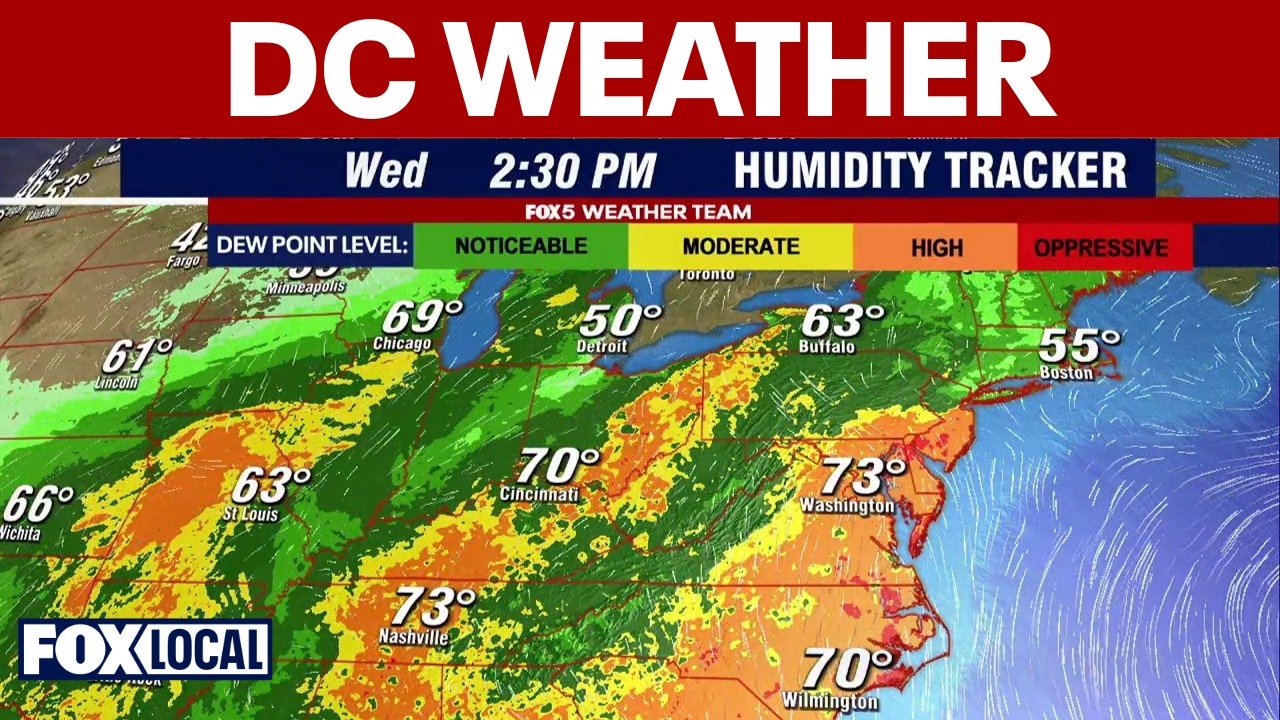 DC weather forecast: Heat wave returns with high humidity
