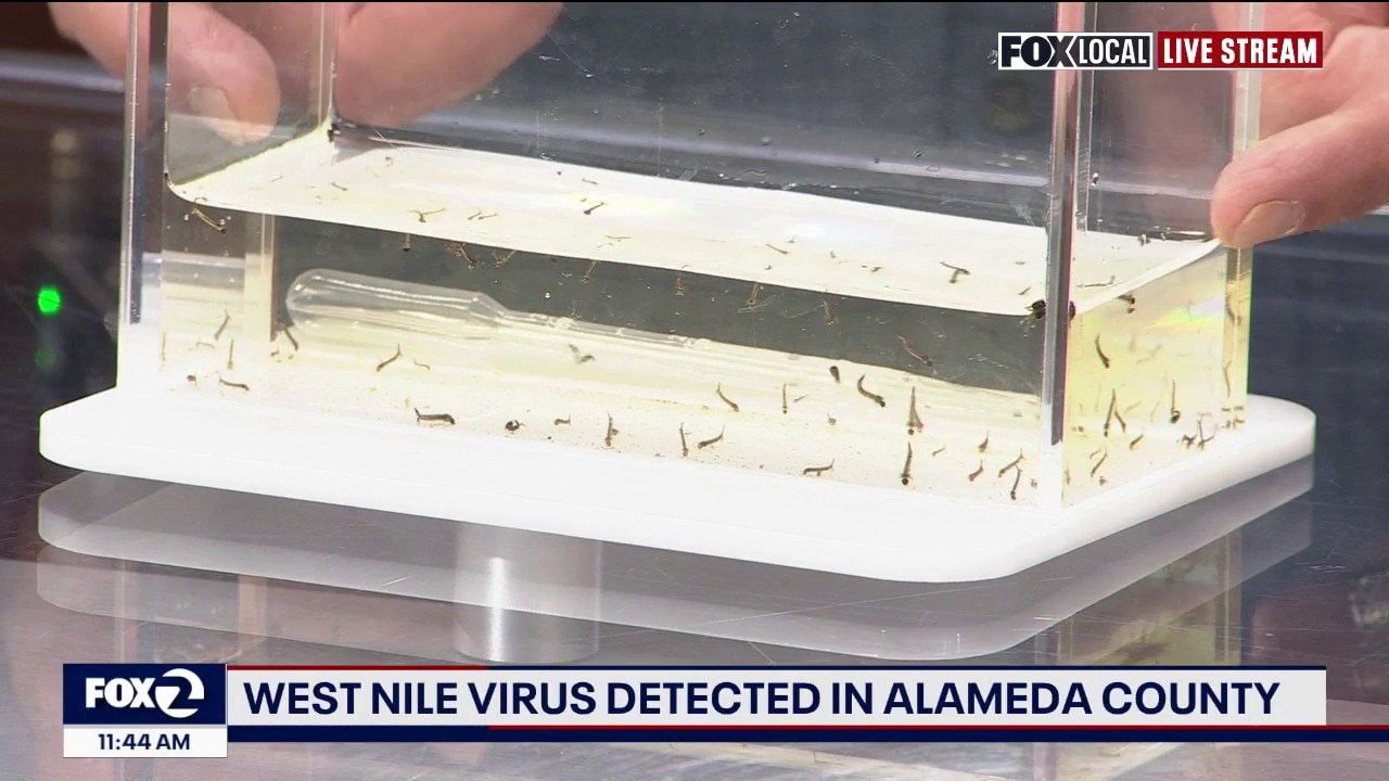 West Nile virus detected in Alameda County