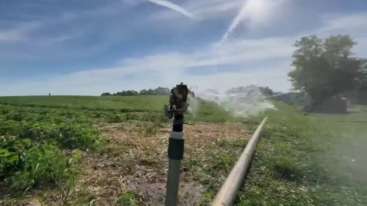 Wisconsin farmers hope for soaking rain