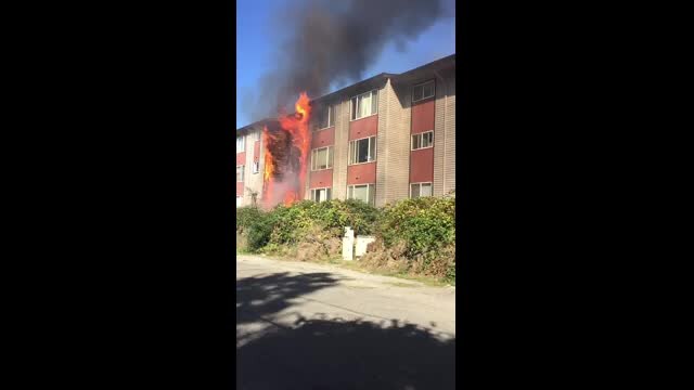 Video of West Seattle apartment fire