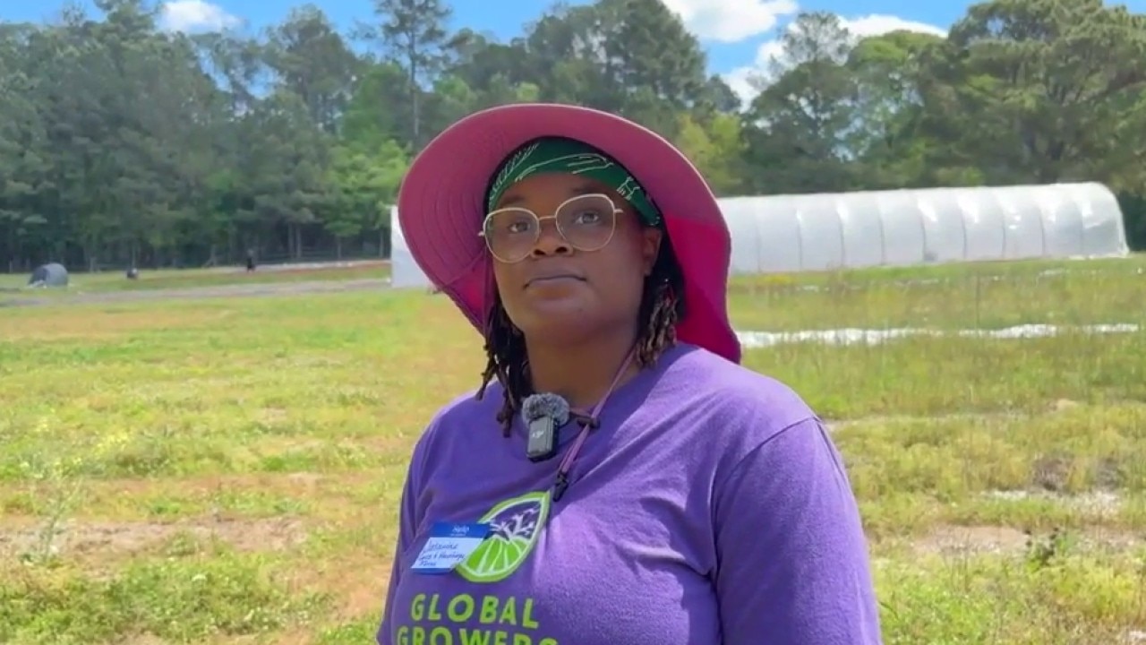 Farmer Field Day brings organic expertise to Rockdale