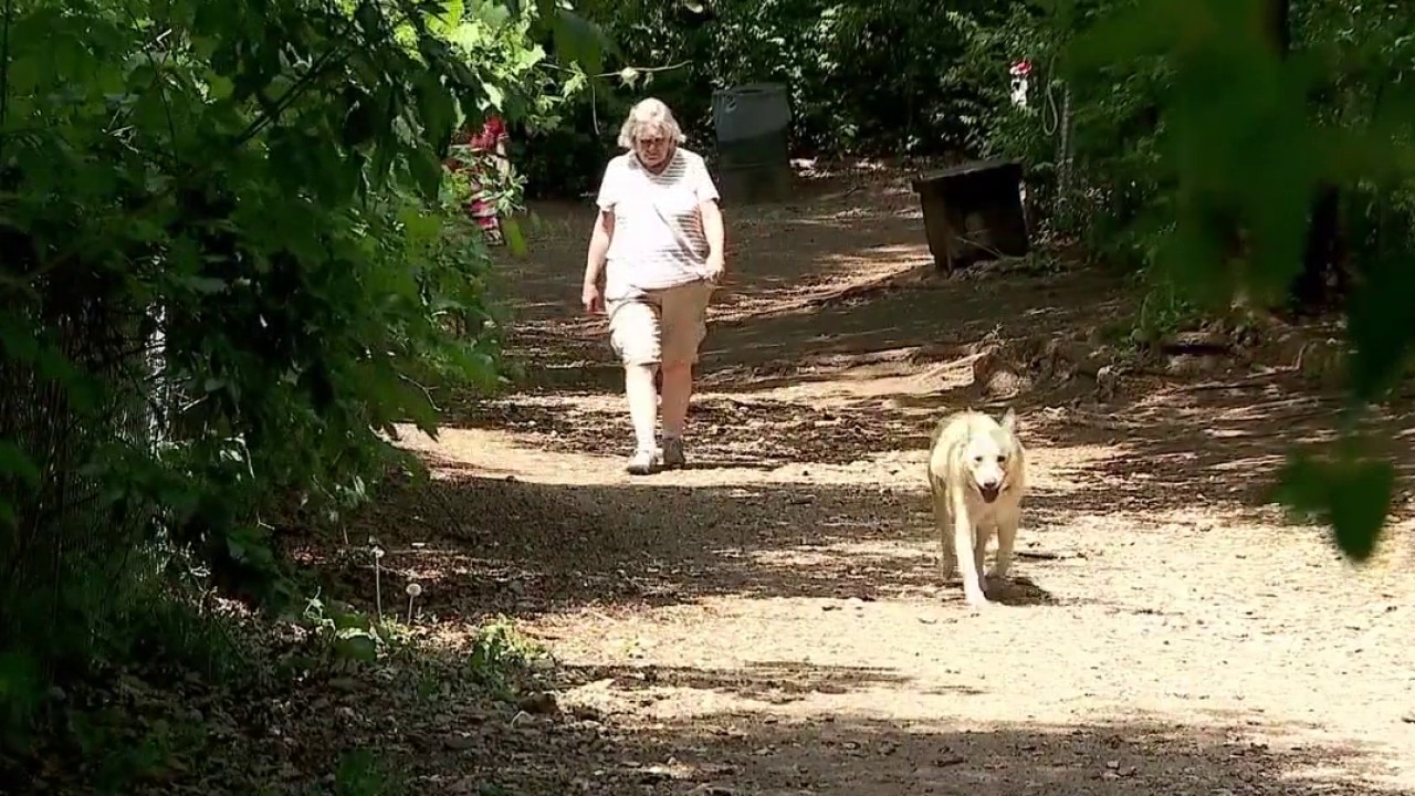 Uncertain future for the Minnehaha Dog Park