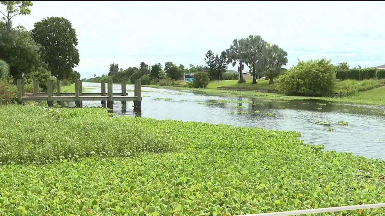 Clearing waterways of vegatation in North Port