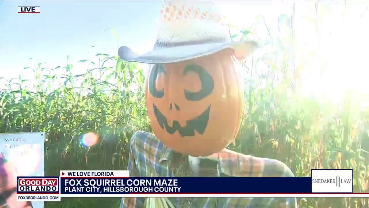 FOX Squirrel Corn Maze in Plant City
