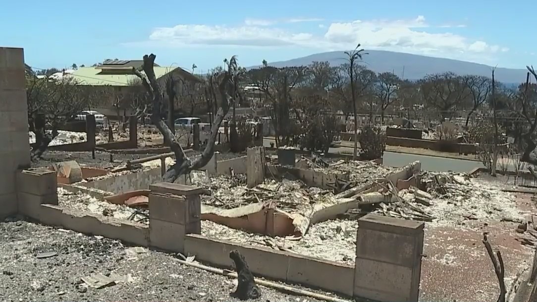 Losses due to Maui wildfires