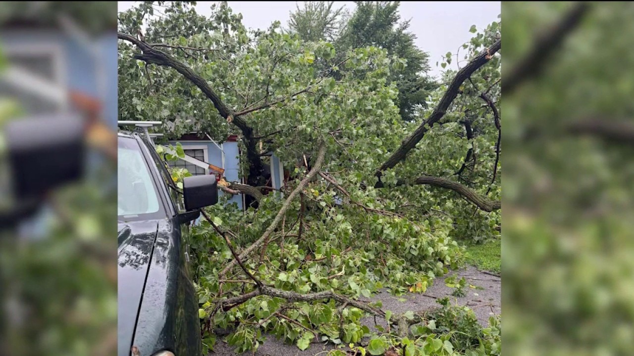 Indiana dealership worker pinned after tree crashes through building during storm
