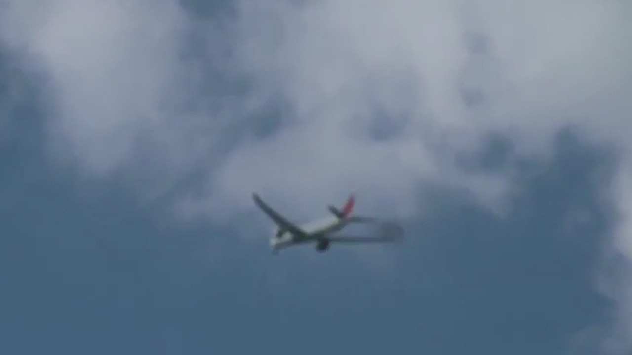Flames seen spewing out of plane leaving LAX