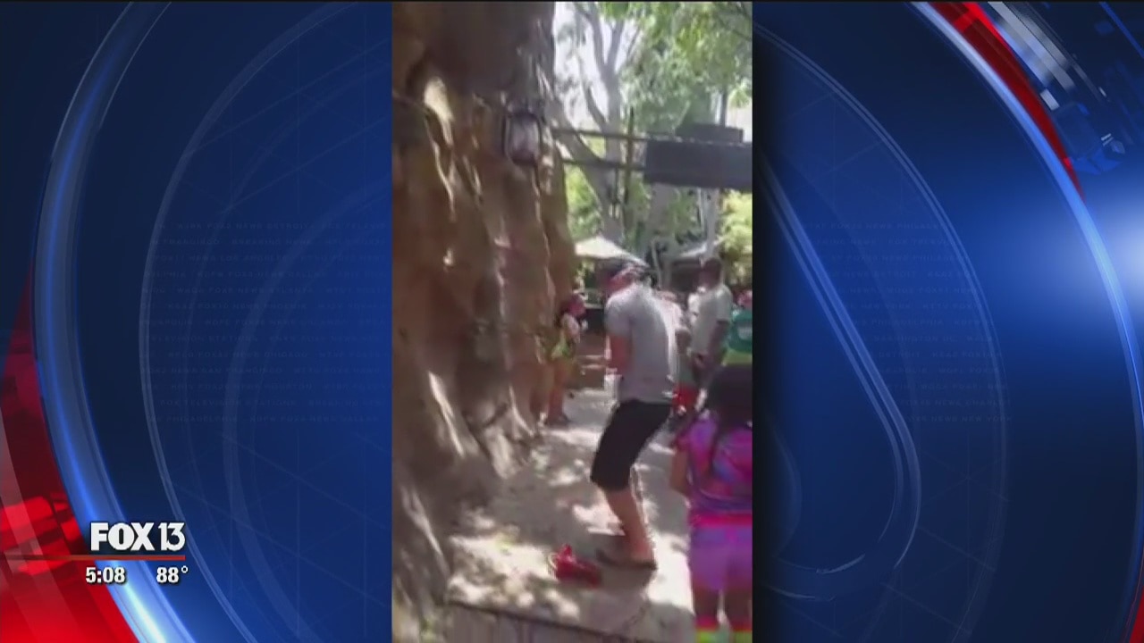 Man catches falling ducklings