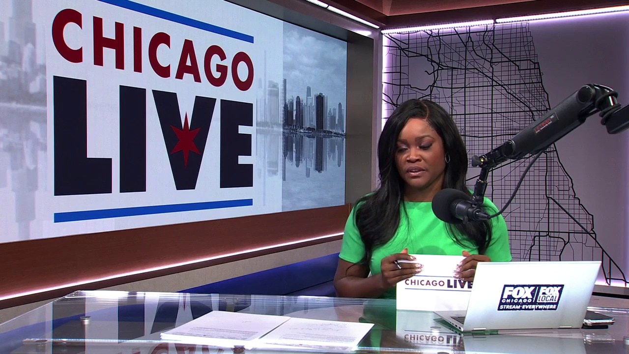  Monarch butterfly numbers rise as migration to Chicago nears | ChicagoLIVE