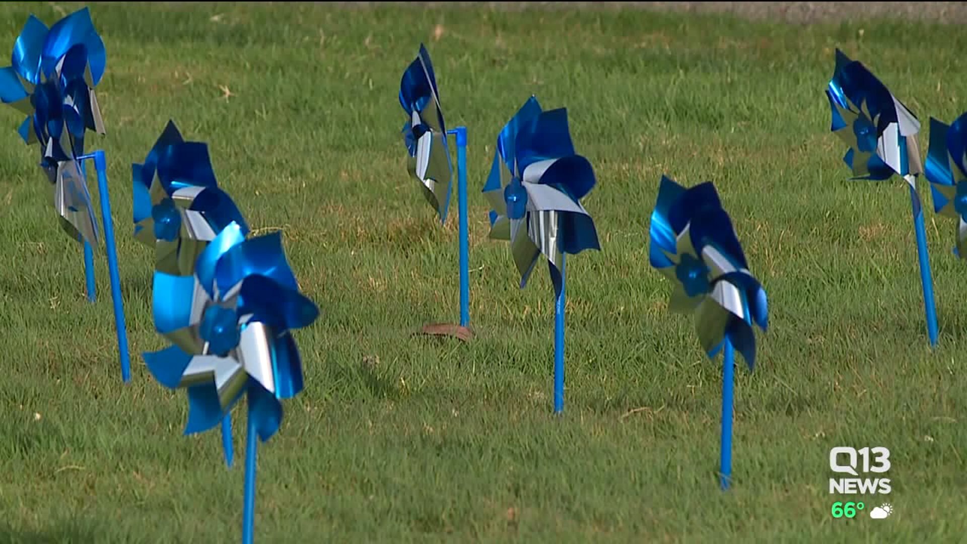 Pinwheels in Pierce County on display for prevention