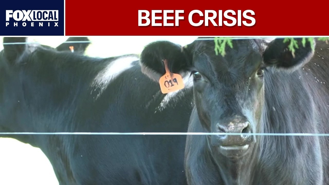 Beef prices soar amid low U.S. cattle herd