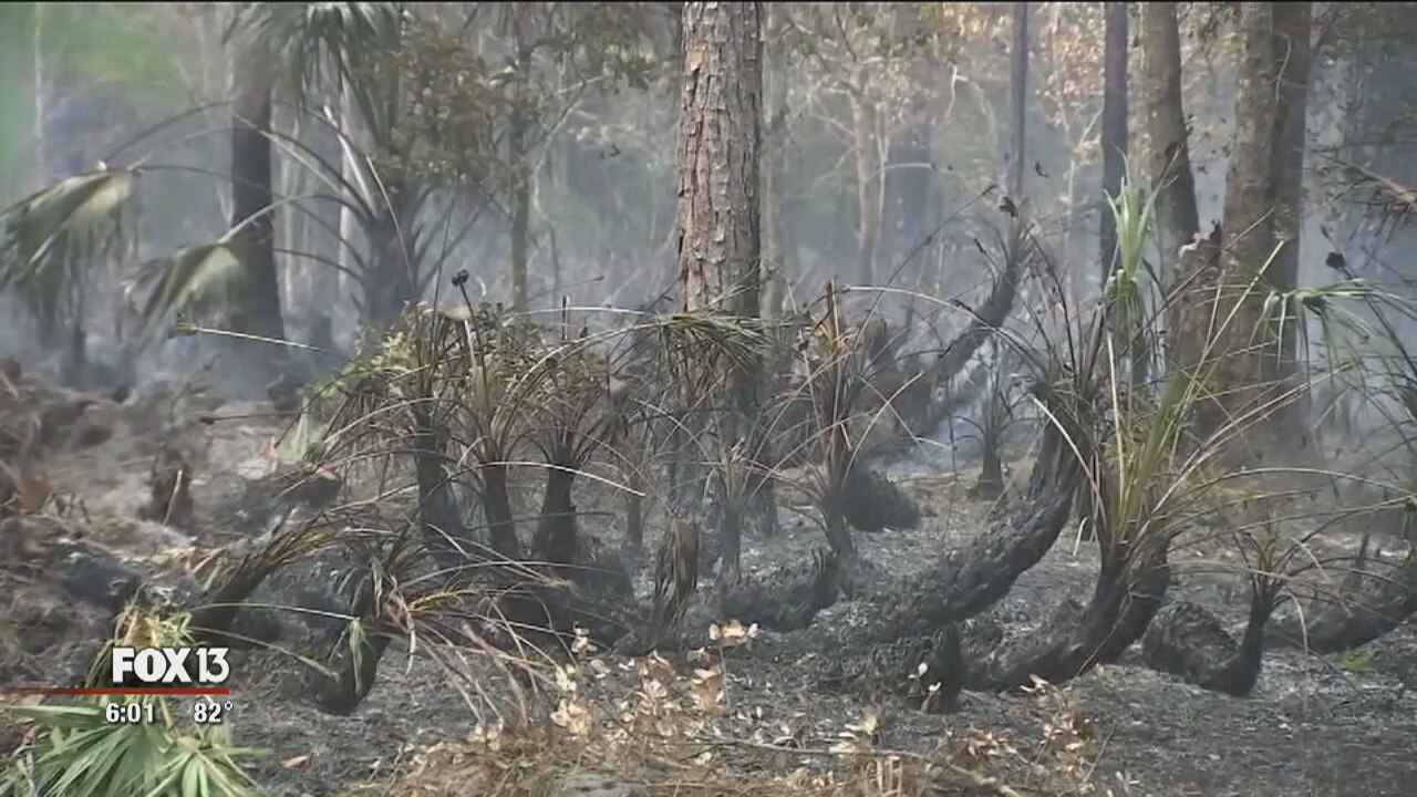 Pasco burn ban warning