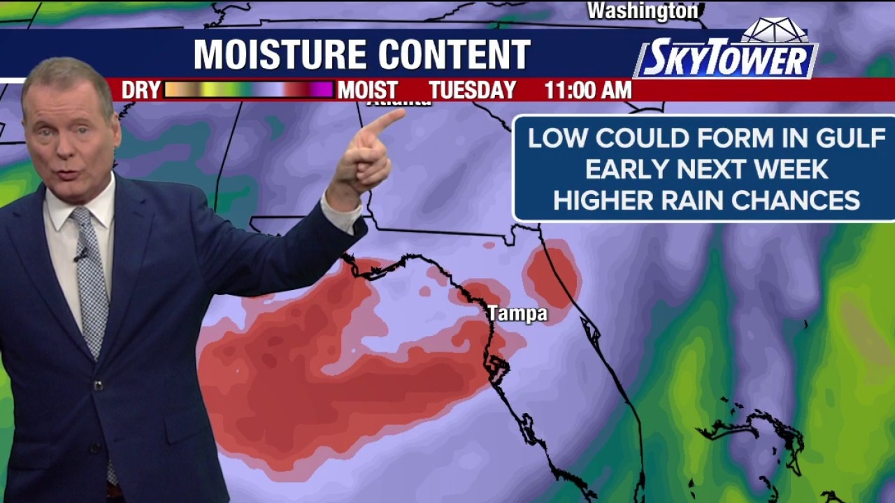 Tampa weather | Tuesday morning forecast