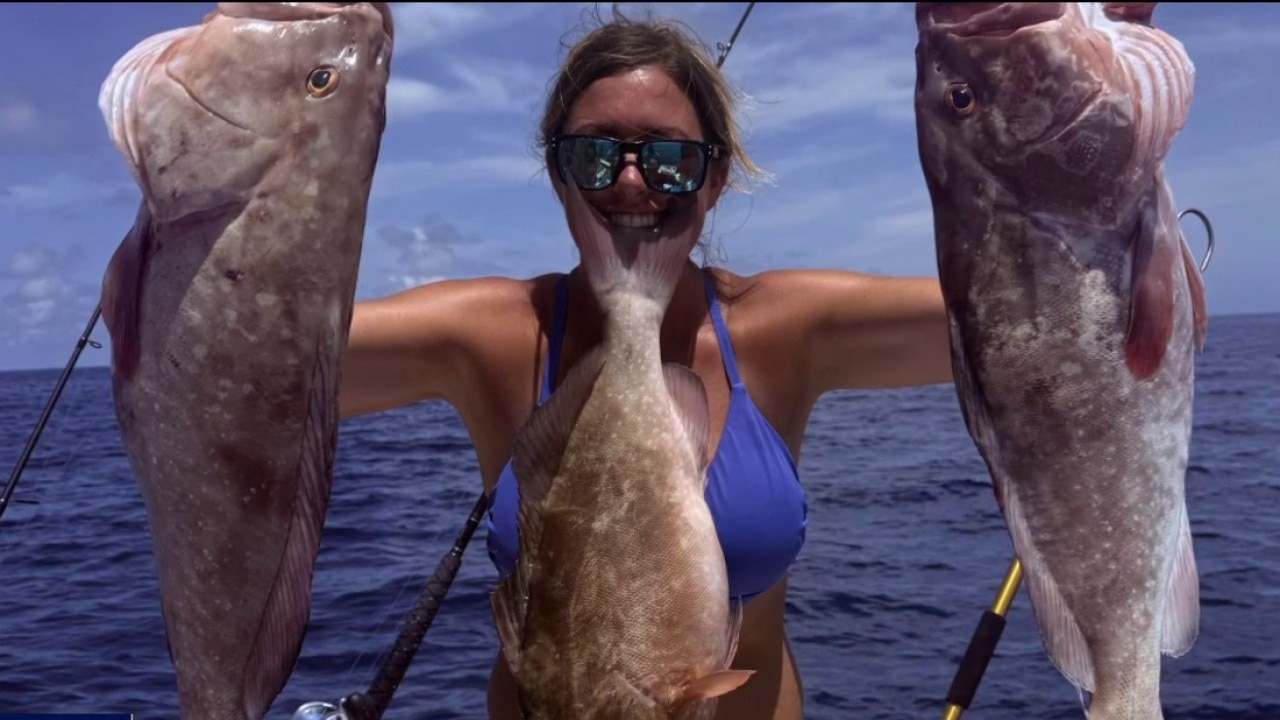 License free saltwater fishing weekend