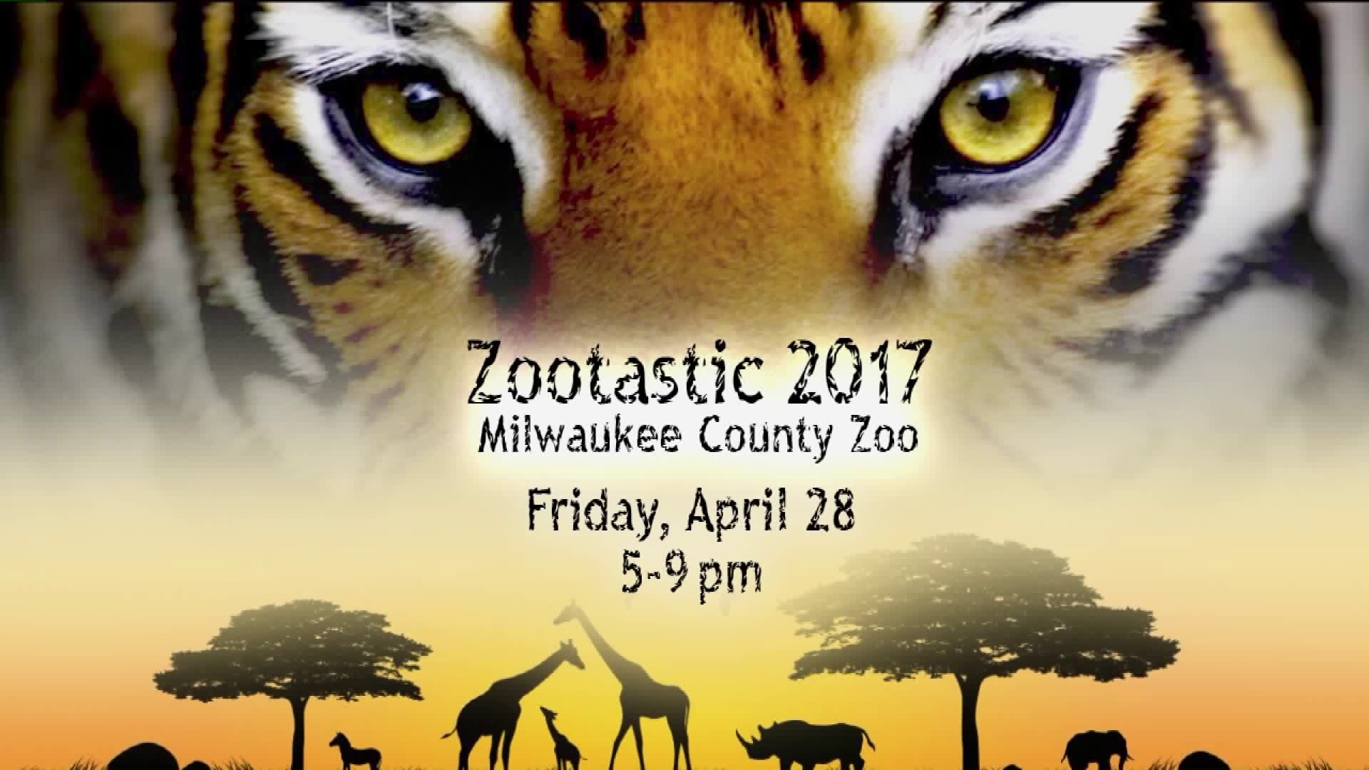 Sights, sounds and smells: Explore your five senses at Zootastic