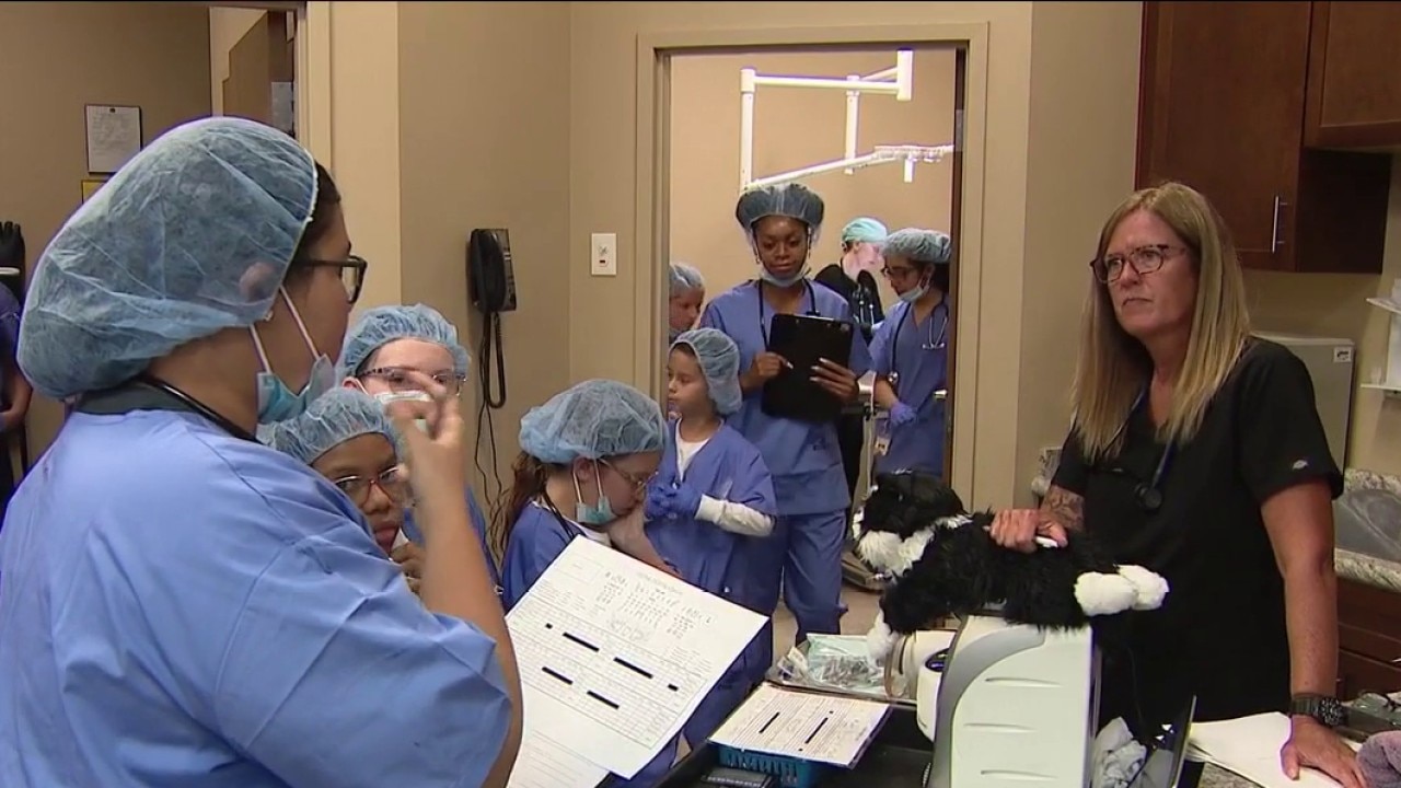 West-MEC veterinary students gain clinical experience