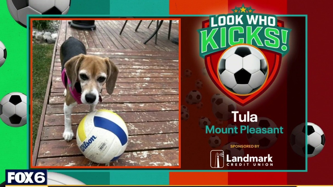 Look Who Kicks on July 1, 2026