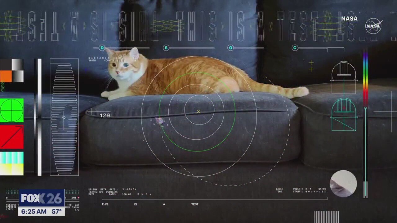 NASA transmits cat video from deep space