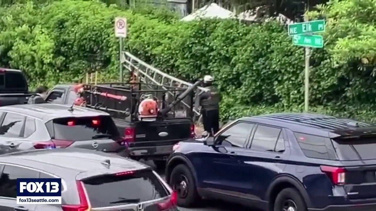 Seattle landscaping workers detained in apparent ICE raid