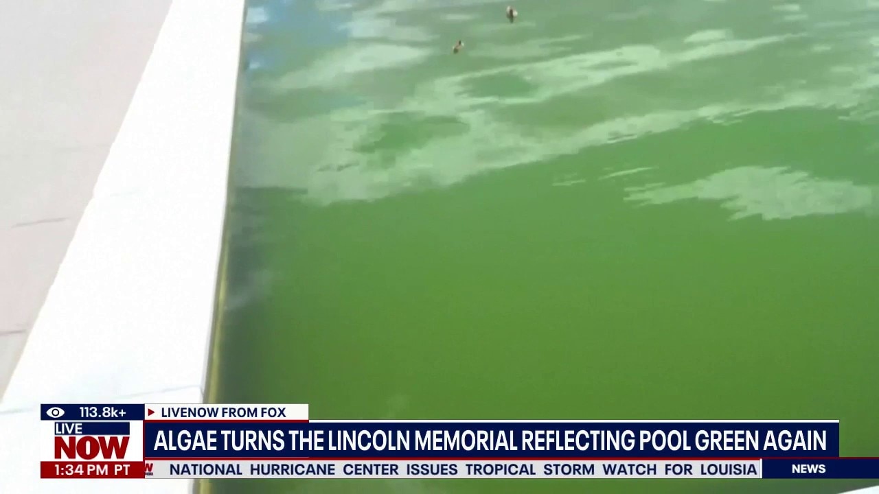 Trump's Reflecting Pool turned green again by algae