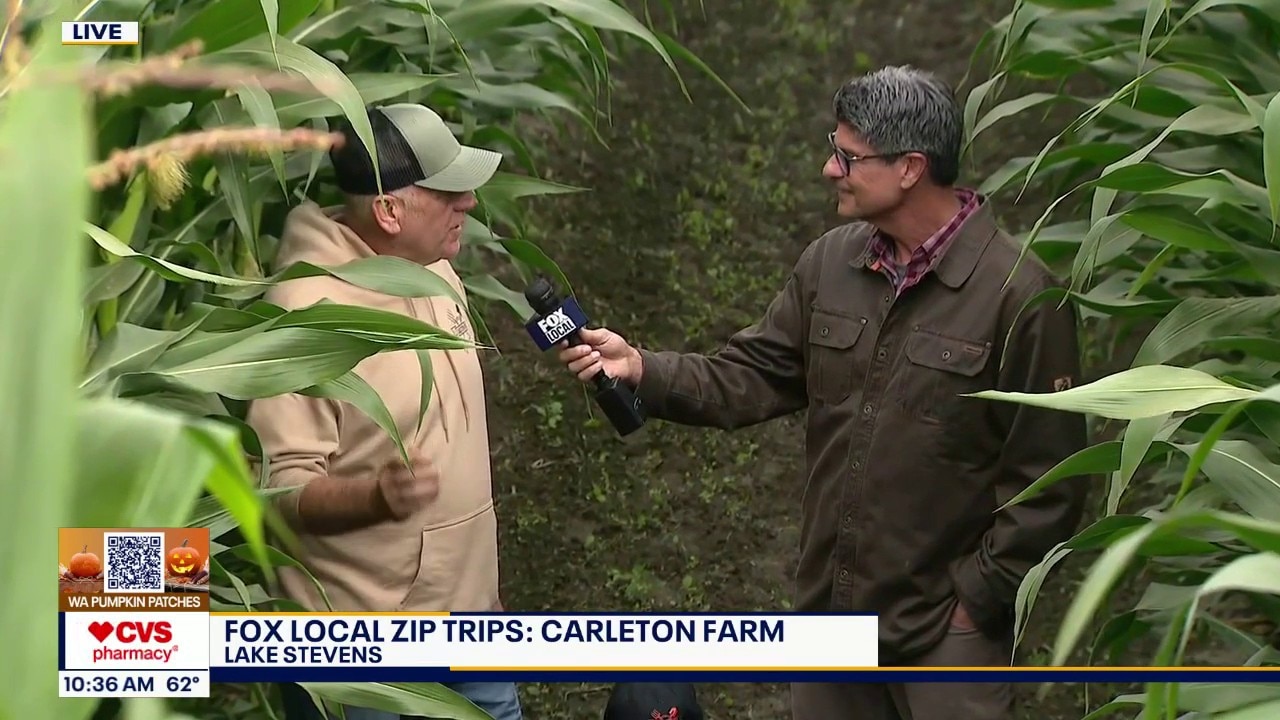 FOX Local Pumpkin Patch Zip Trips: Carleton Farm