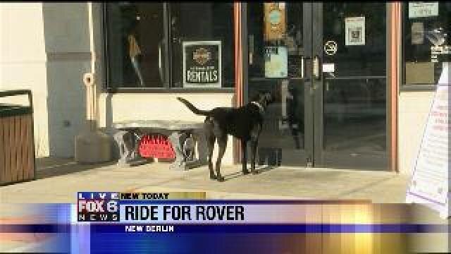 Ride for Rover