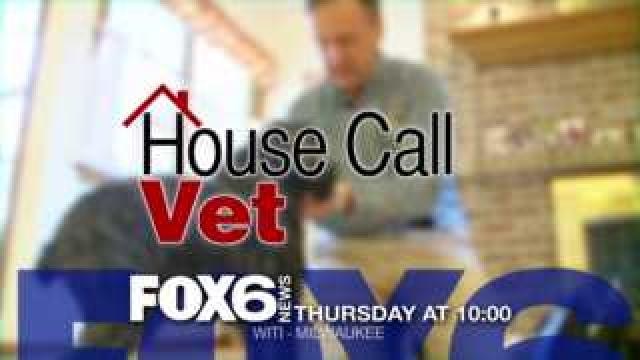 House Call Vet - Thursday on FOX6 News at 10