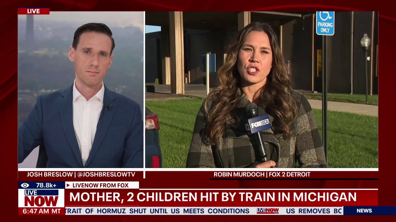 Mother, 2 children hit by train in Michigan