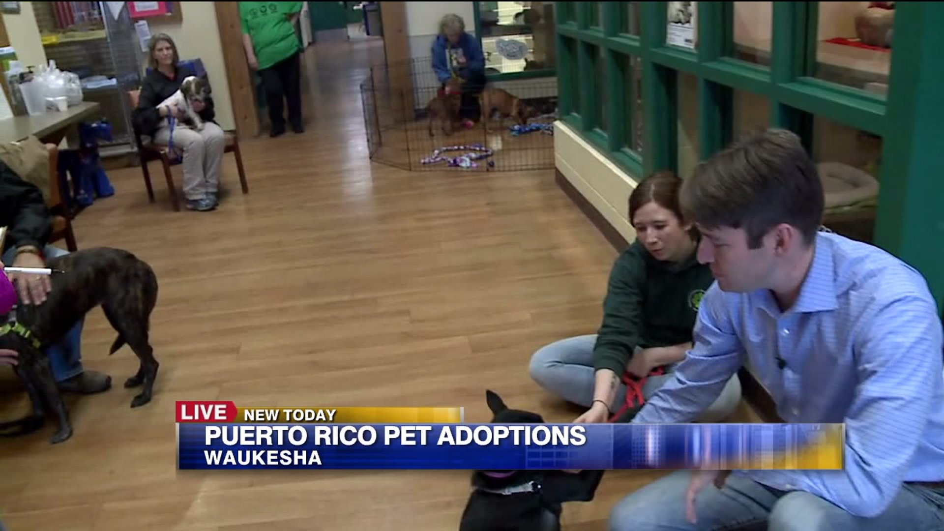 Displaced from Puerto Rico shelters