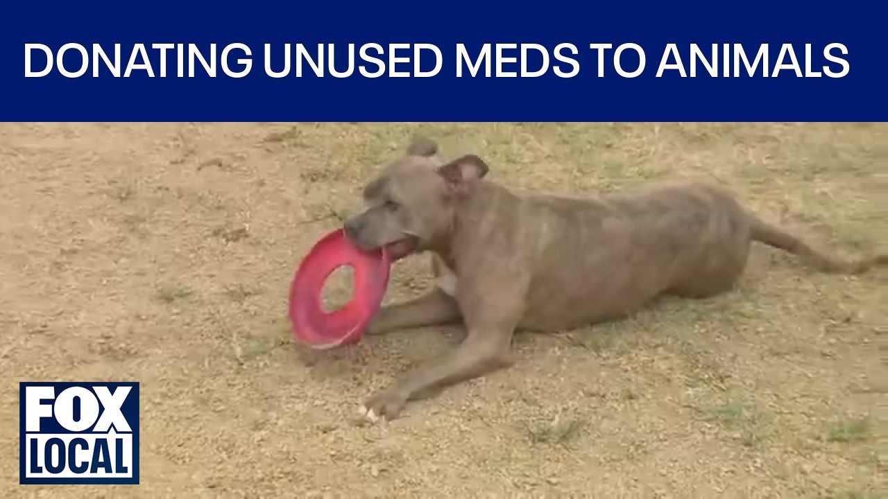 New law aims to reduce wasted pet medications