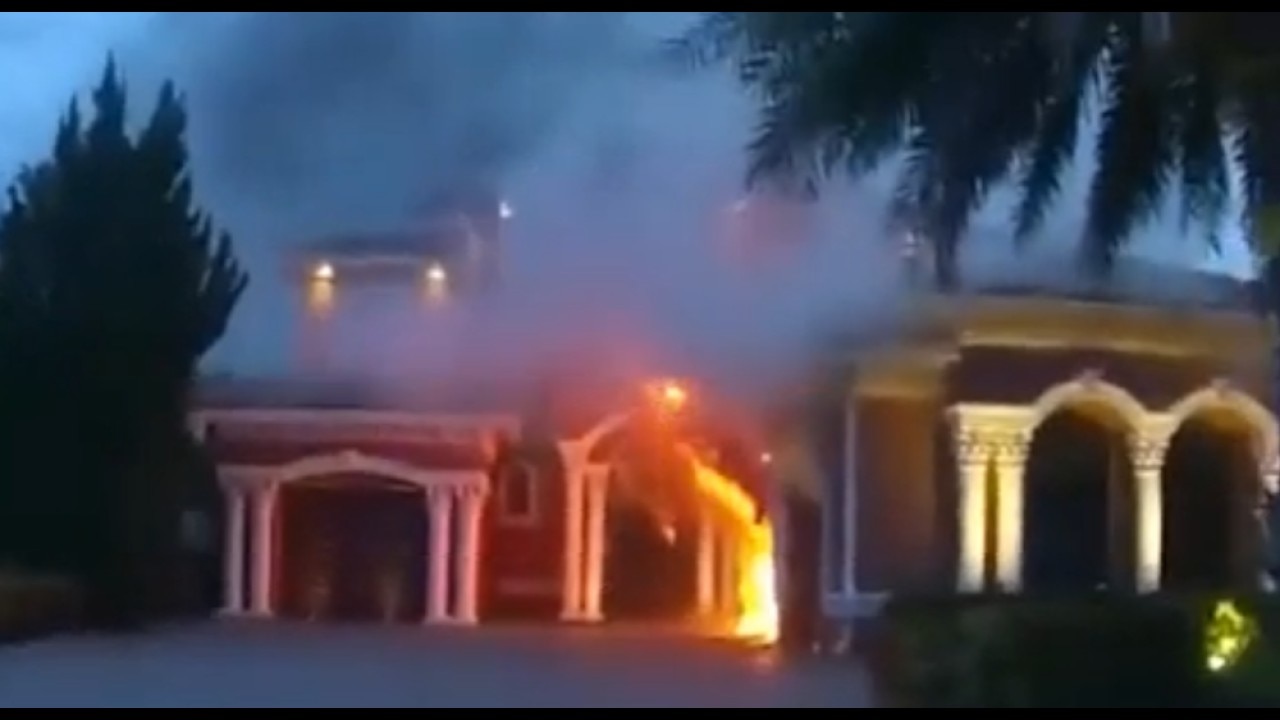 Florida deputy saves puppies from house fire