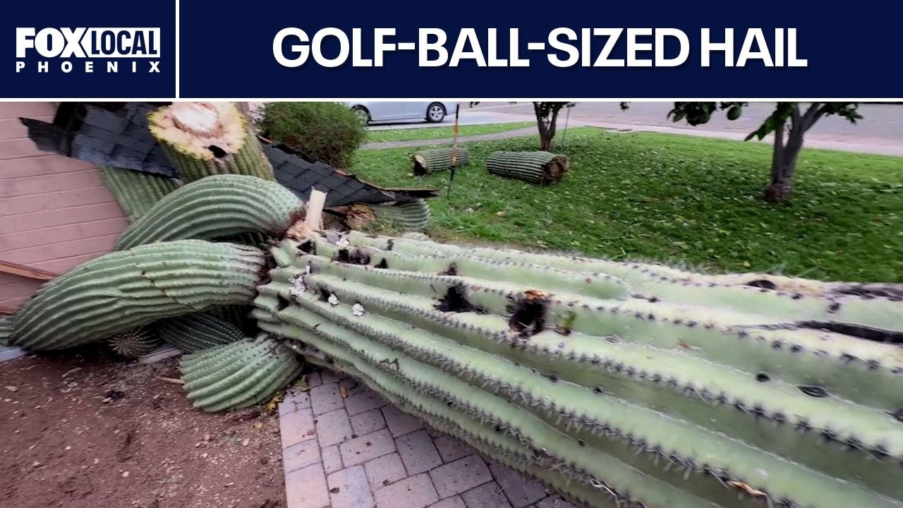 Phoenix hail storm leaves homeowners facing  repair costs