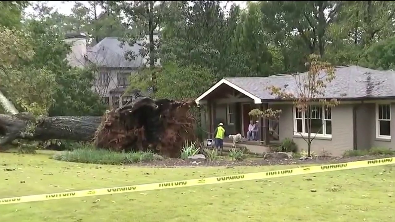 Tree falls on Brookhaven home damaging water lines