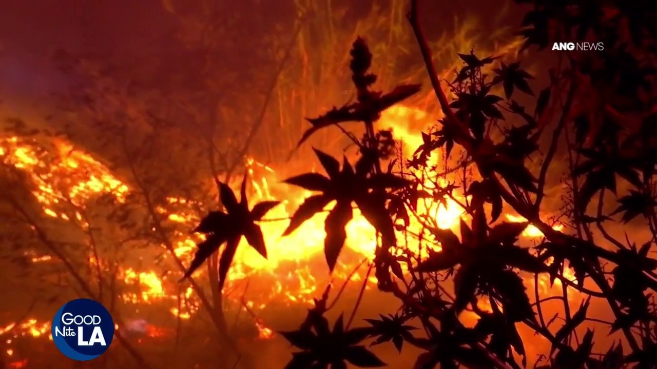 Palisades wildfire readiness questioned