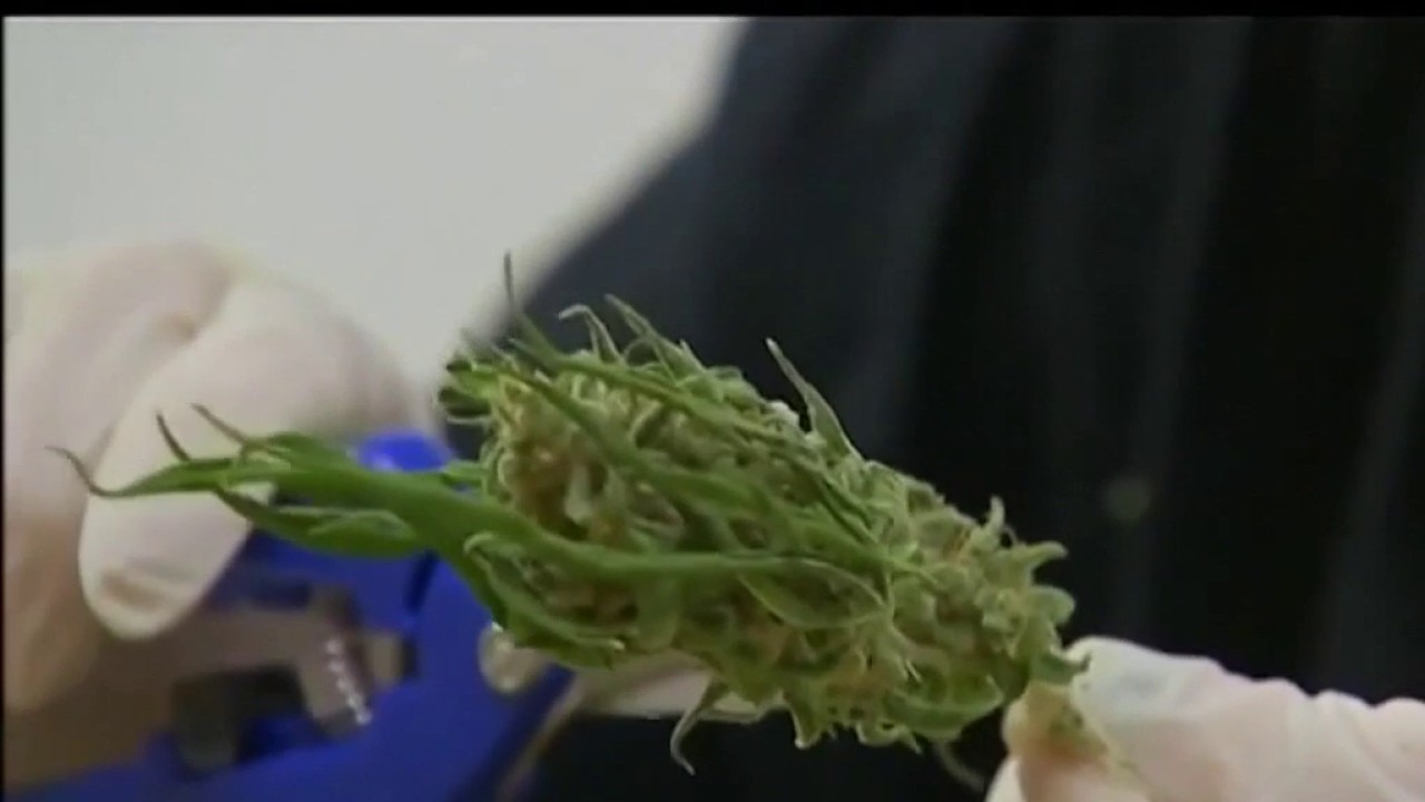 UCSF research shows how marijuana affects heart