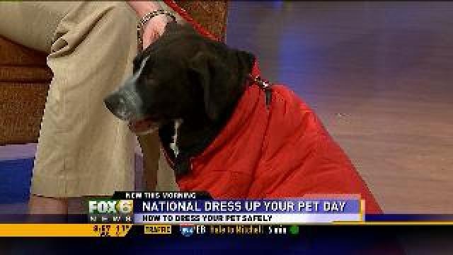 National Dress Up Your Pet Day