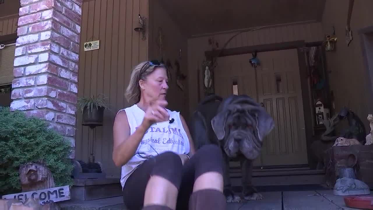 'World's Ugliest Dog'