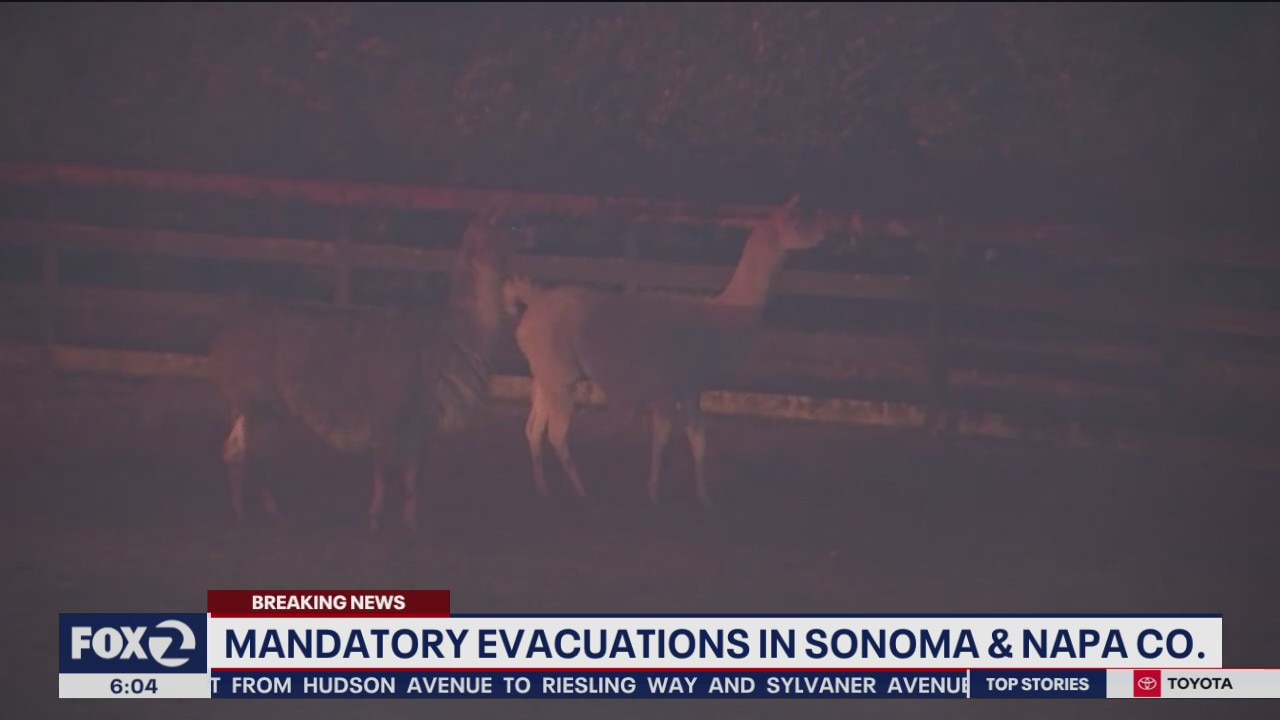 Glass, Shady, Boysen fires grow to 2,500 acres