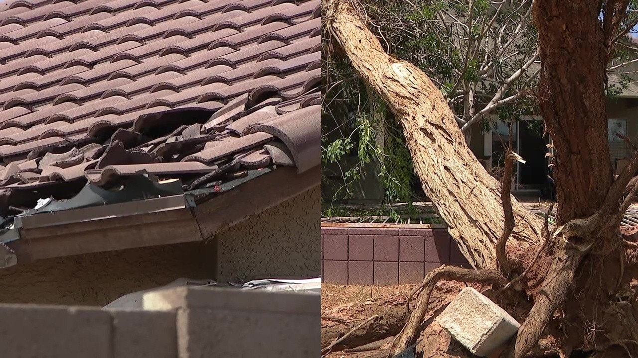 Monsoon: Protecting your home after the storms