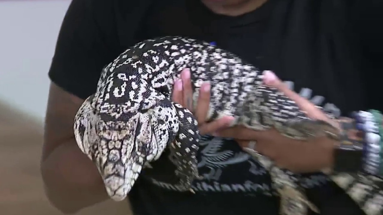 Amphibian Foundation makes major move, seeks donations