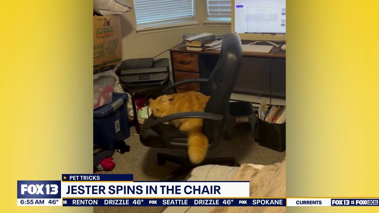 Pet Tricks for Tuesday, April 28