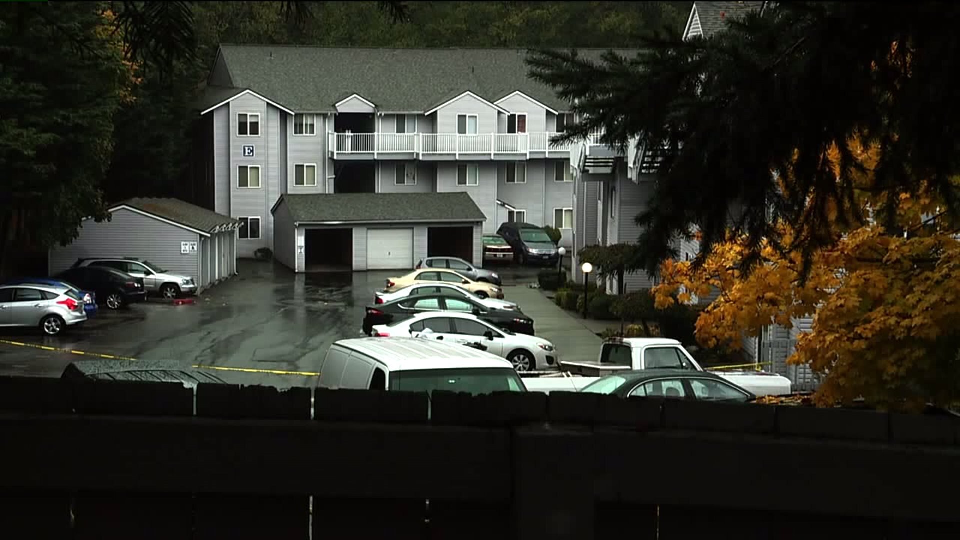 Man pleads guilty to nephew`s drowning death