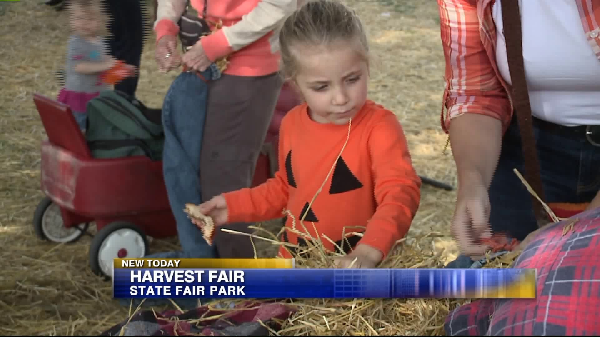 Harvest Fair scarecrow making