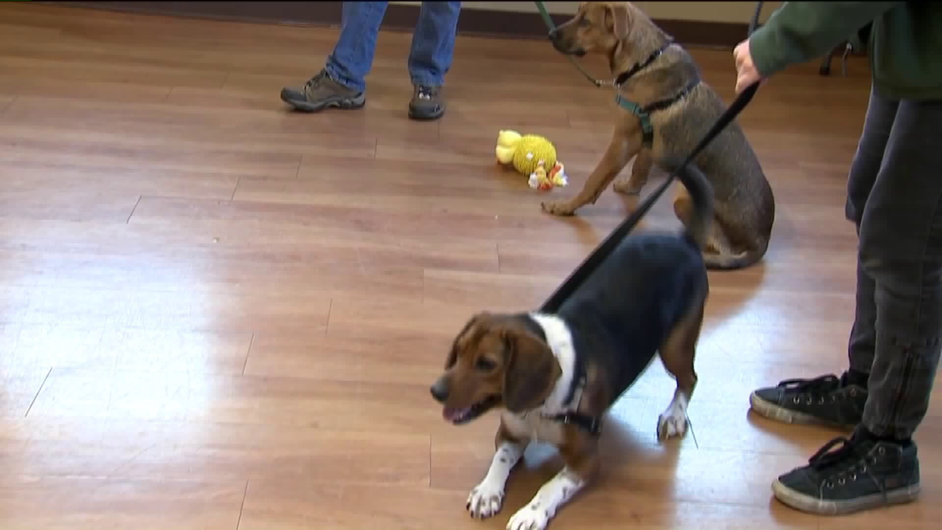 HAWS has expanded their facility -- get a behind the scenes look